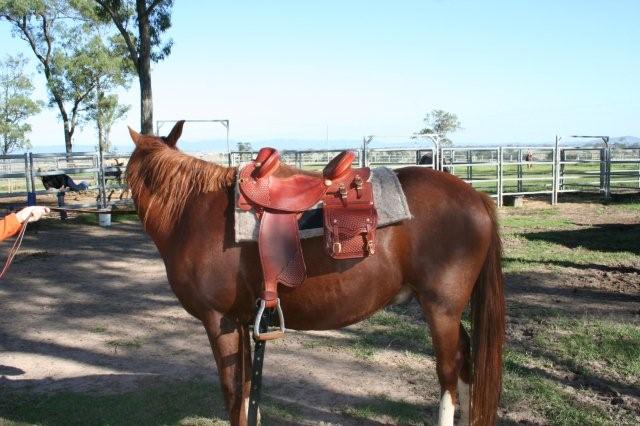 Monty displaying his Nash saddle and saddle bags